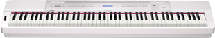 CASIO PX-160WE