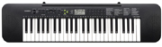 CASIO CTK-245