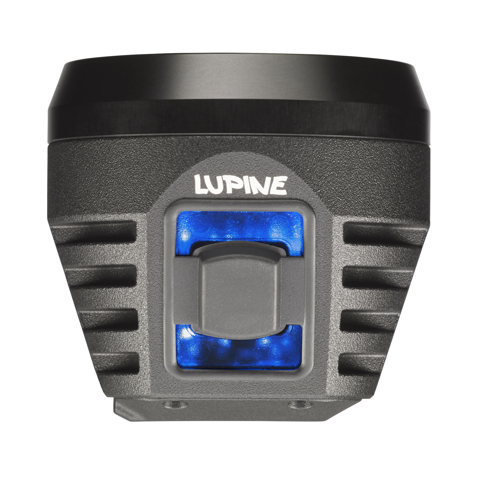 Lupine Wilma RX 14